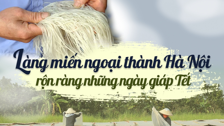 Làng miến ngoại thành Hà Nội rộn ràng những ngày giáp Tết